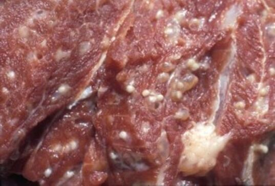 М'ясо, заражене трихінеллами – небезпечними паразитами